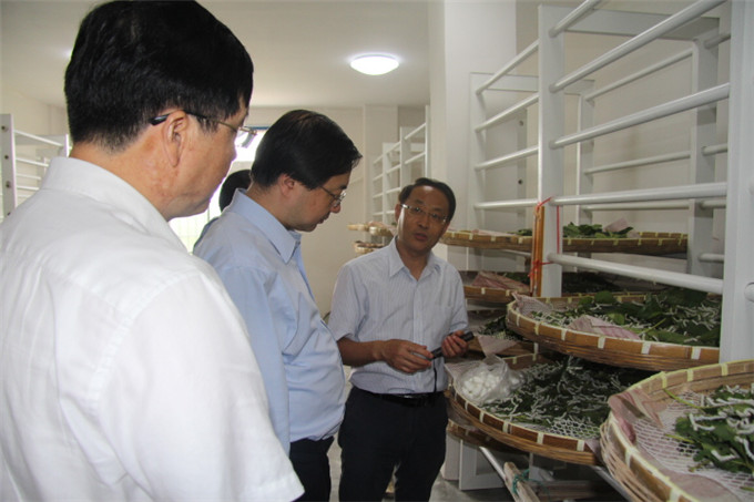 周勇到蘇豪蠶種公司等企業(yè)開展“三嚴三實”專題調(diào)研