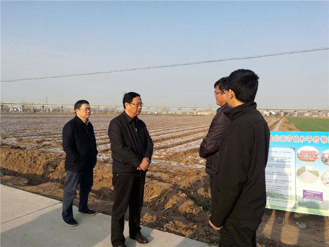 王正喜董事長到集團(tuán)掛鉤幫扶村調(diào)研扶貧工作