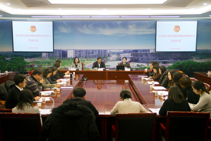 共青團(tuán)蘇豪控股集團(tuán)代表會(huì)議順利召開