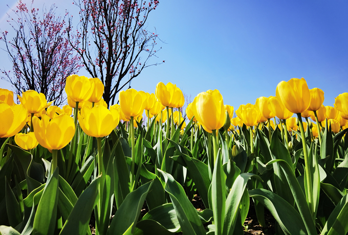 1616571805869995.jpg 2_副本.jpg