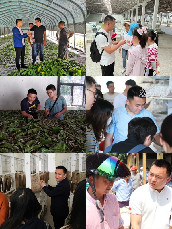 7. 傳幫帶拼圖_副本.jpg